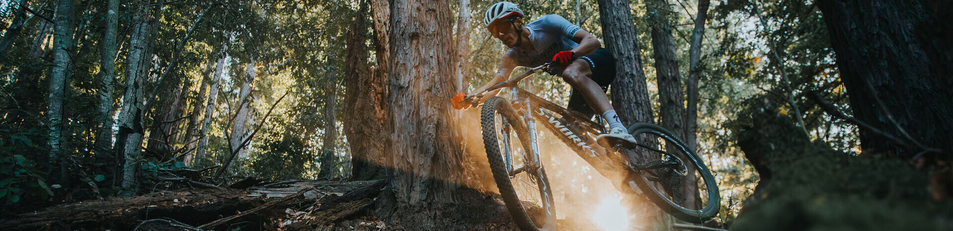 epic8-bos-zon-1919-550